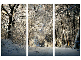 3-piece-canvas-print-a-winter-dream