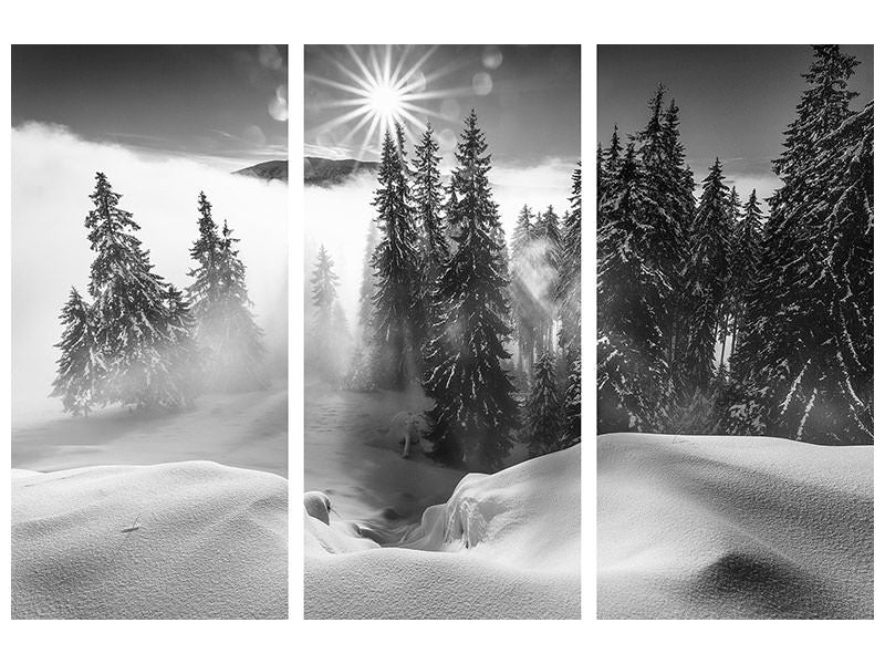 3-piece-canvas-print-a-winter-tale