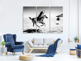 3-piece-canvas-print-action