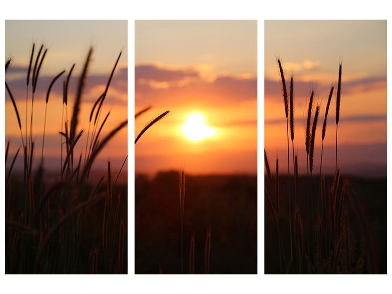 3-piece-canvas-print-adorable-sunset