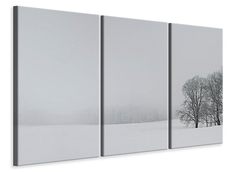 3-piece-canvas-print-albhochflaeche