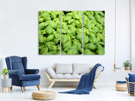 3-piece-canvas-print-all-basil