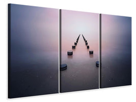 3-piece-canvas-print-alone-in-the-silence