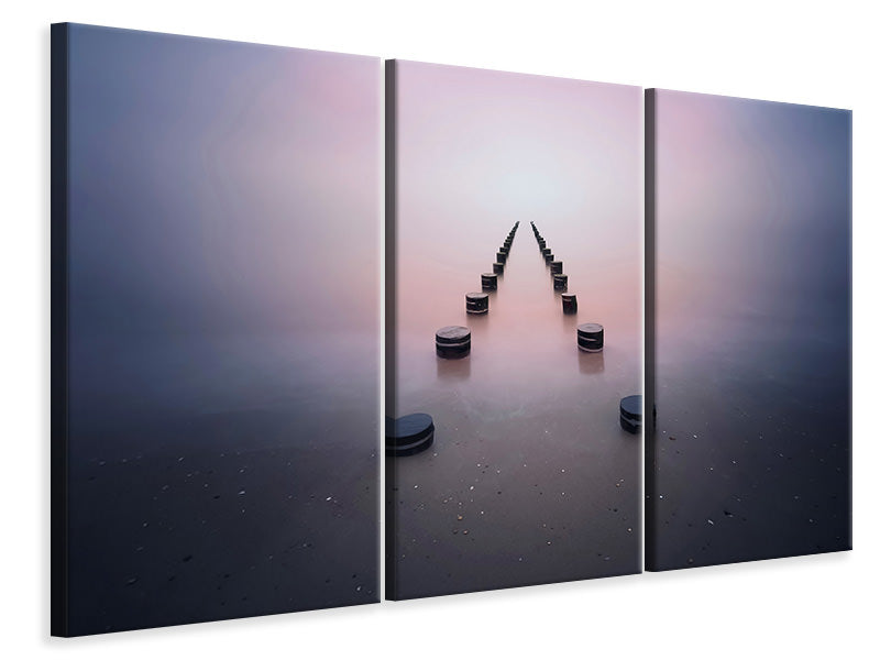 3-piece-canvas-print-alone-in-the-silence