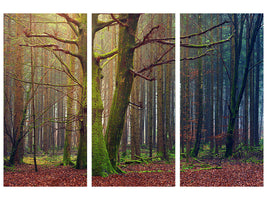 3-piece-canvas-print-alone-in-the-woods