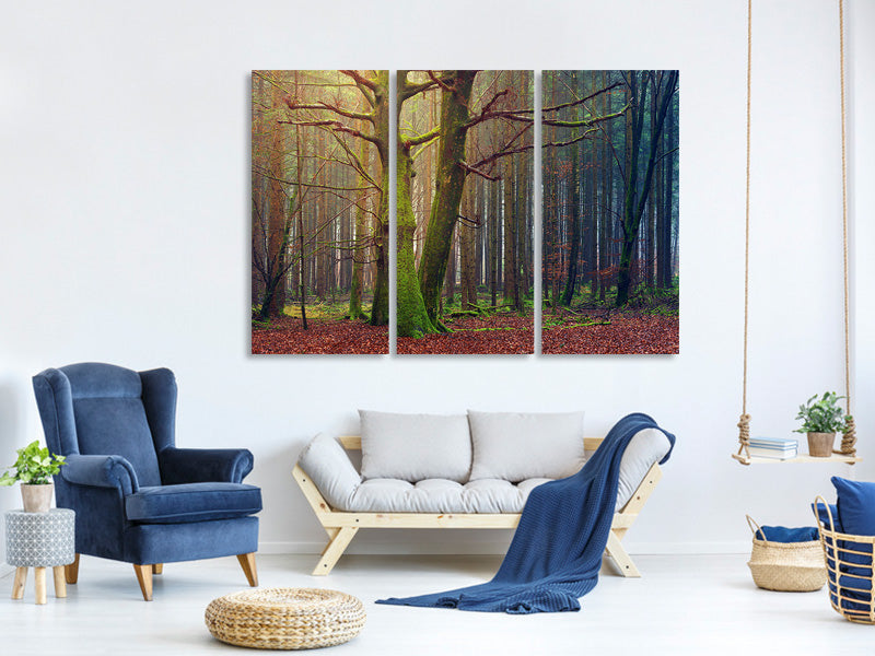 3-piece-canvas-print-alone-in-the-woods