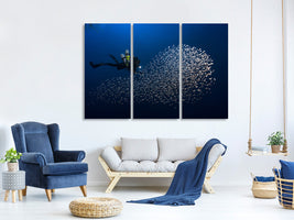 3-piece-canvas-print-alvin-shoal