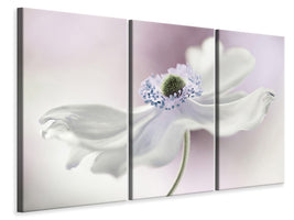 3-piece-canvas-print-anemone-breeze