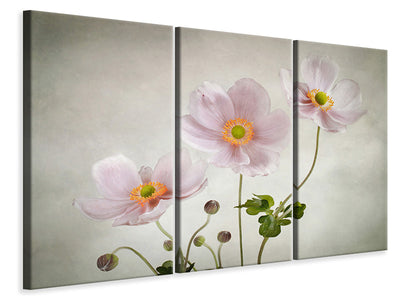 3-piece-canvas-print-anemones-ii