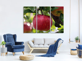 3-piece-canvas-print-apple-in-xxl