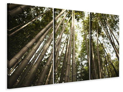 3-piece-canvas-print-arashiyama-japan