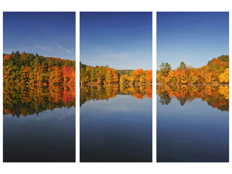 3-piece-canvas-print-autumn-ii