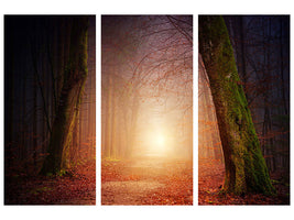 3-piece-canvas-print-autumn-in-the-woods