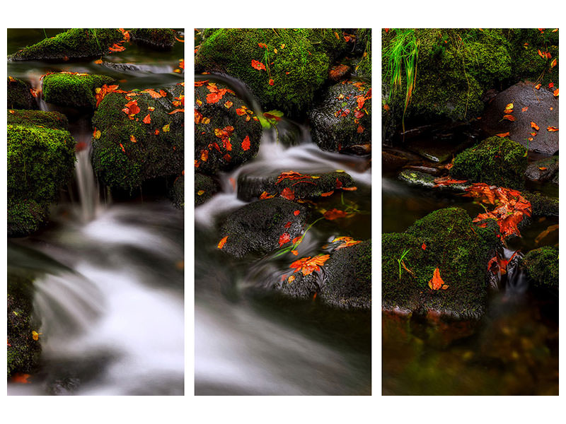 3-piece-canvas-print-autumn-melodies