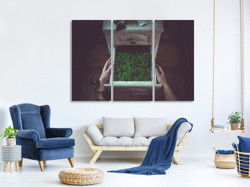 3-piece-canvas-print-avoir-la-main-verte