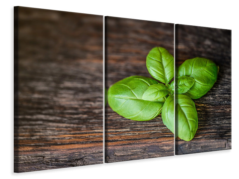 3-piece-canvas-print-basil-leaf-in-xxl