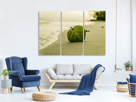 3-piece-canvas-print-beach-leaf