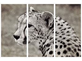 3-piece-canvas-print-beautiful-cheetah