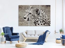 3-piece-canvas-print-beautiful-cheetah