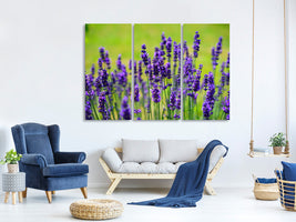 3-piece-canvas-print-beautiful-lavender