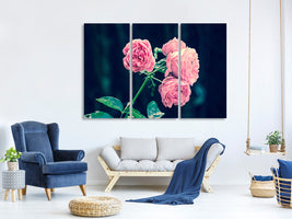 3-piece-canvas-print-beautiful-pink-roses