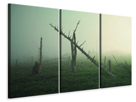 3-piece-canvas-print-beautiful-rot