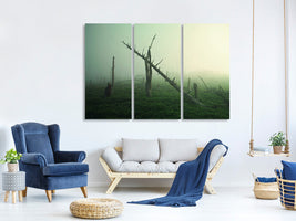 3-piece-canvas-print-beautiful-rot