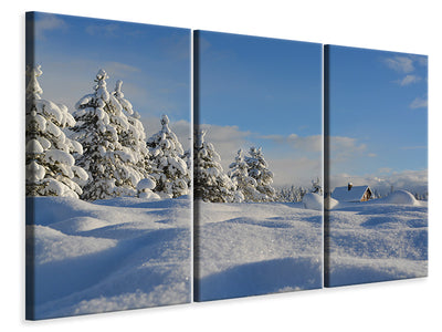 3-piece-canvas-print-beautiful-snow-landscape