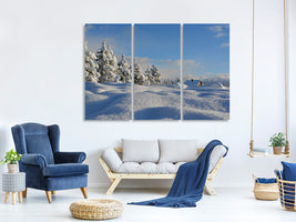 3-piece-canvas-print-beautiful-snow-landscape