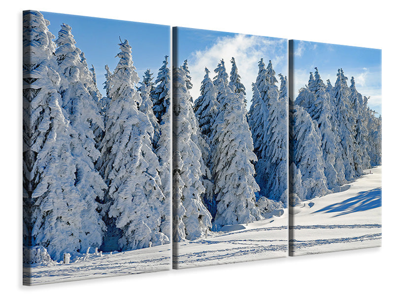 3-piece-canvas-print-beautiful-winter-landscape