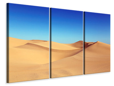 3-piece-canvas-print-beauty-desert