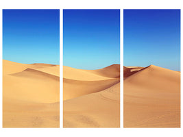 3-piece-canvas-print-beauty-desert