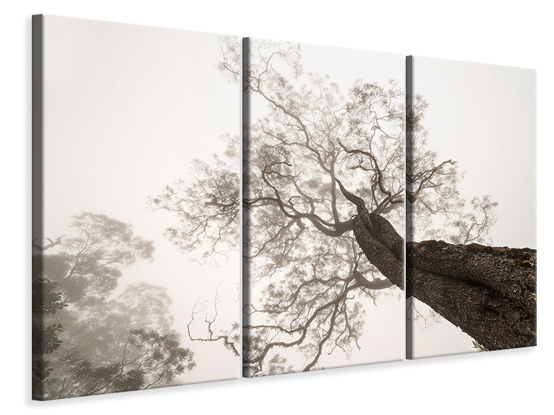 3-piece-canvas-print-between-heaven-and-earth