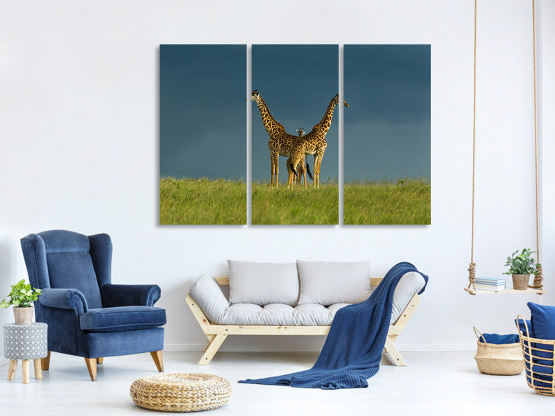 3-piece-canvas-print-between-the-two