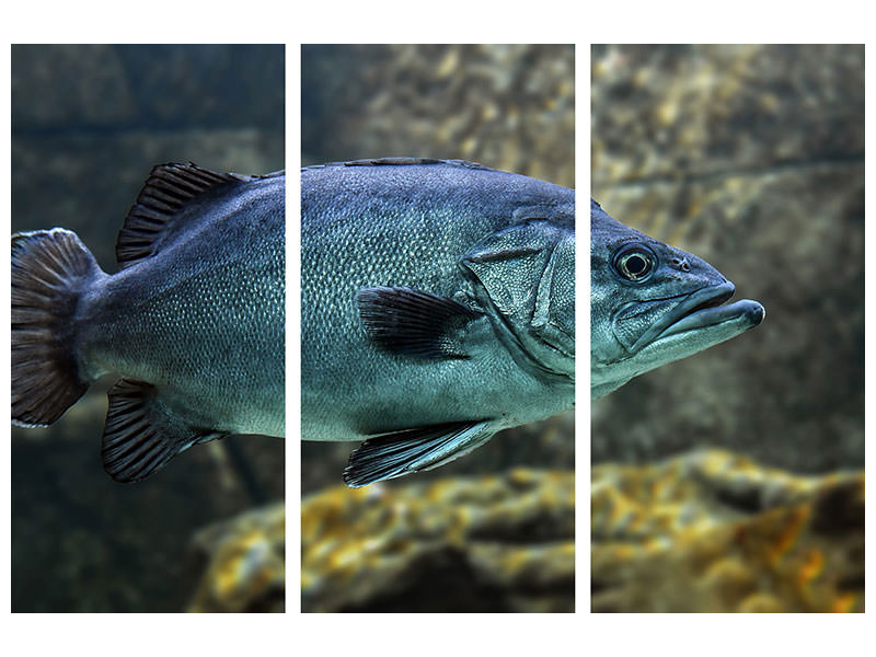 3-piece-canvas-print-big-fish