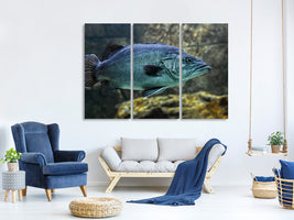 3-piece-canvas-print-big-fish