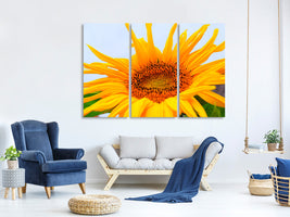 3-piece-canvas-print-big-sunflower