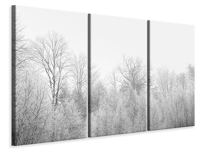 3-piece-canvas-print-birches-in-the-snow