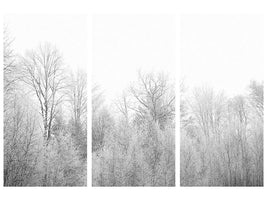 3-piece-canvas-print-birches-in-the-snow