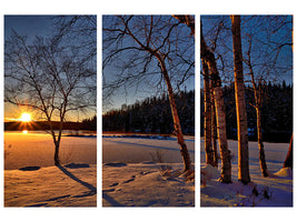 3-piece-canvas-print-birches-in-the-sunset