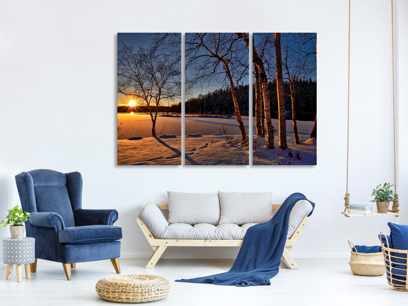 3-piece-canvas-print-birches-in-the-sunset