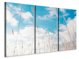 3-piece-canvas-print-blades-of-grass-in-the-sky