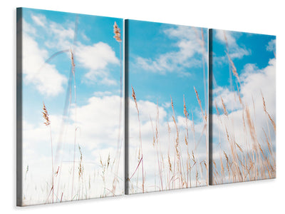 3-piece-canvas-print-blades-of-grass-in-the-sky