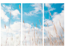 3-piece-canvas-print-blades-of-grass-in-the-sky