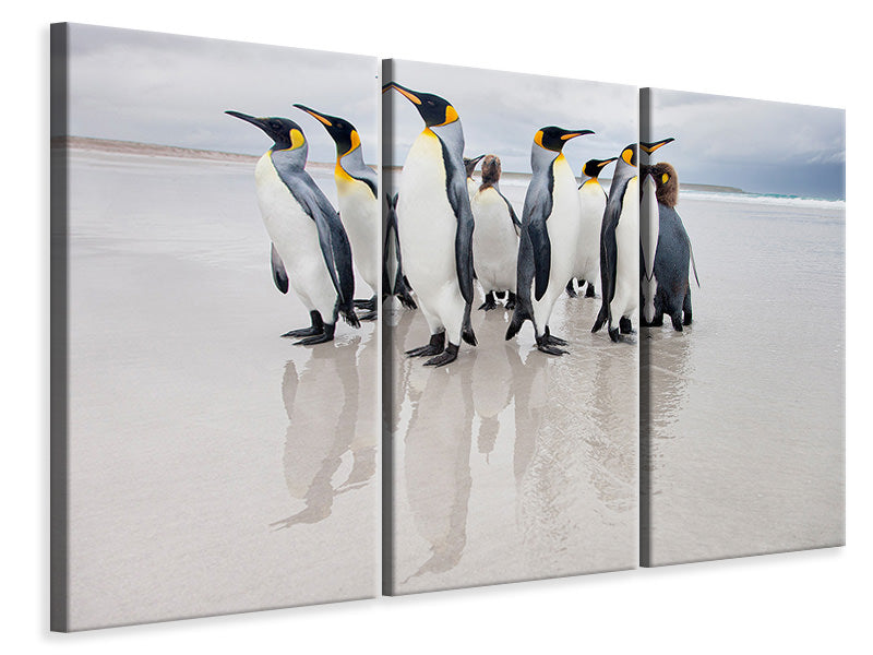 3-piece-canvas-print-bodyguard