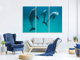 3-piece-canvas-print-bottlenose-dolphins-ii