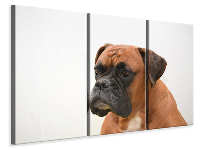 3-piece-canvas-print-boxer-the-watchdog