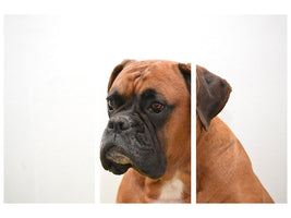 3-piece-canvas-print-boxer-the-watchdog