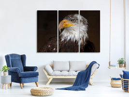 3-piece-canvas-print-caged-eagle