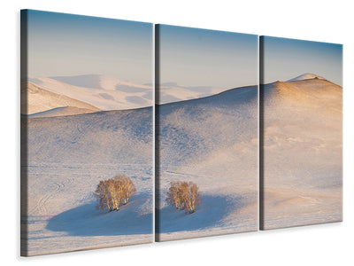 3-piece-canvas-print-cappuccino-land